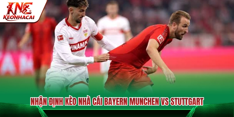 Tỷ lệ cược và soi kèo chuẩn xác Bayern München vs Stuttgart